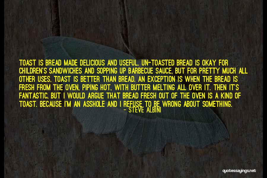 My Tools Tool Rules Quotes By Steve Albini My Tools Tool Rules Quotes By Steve Albini