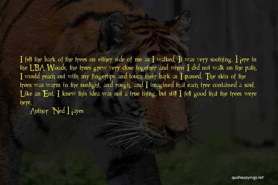 My Touch Quotes By Ned Hayes