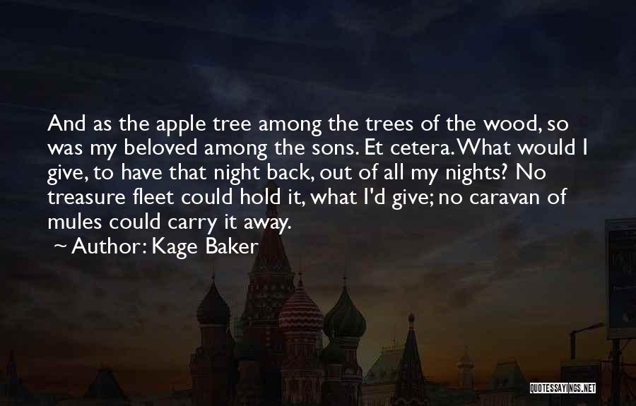 My Treasure Quotes By Kage Baker