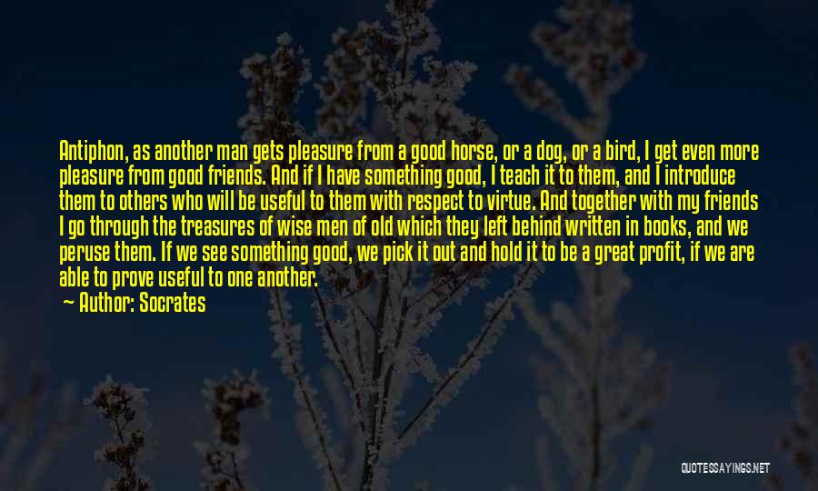 My Treasures Quotes By Socrates