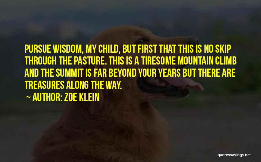 My Treasures Quotes By Zoe Klein