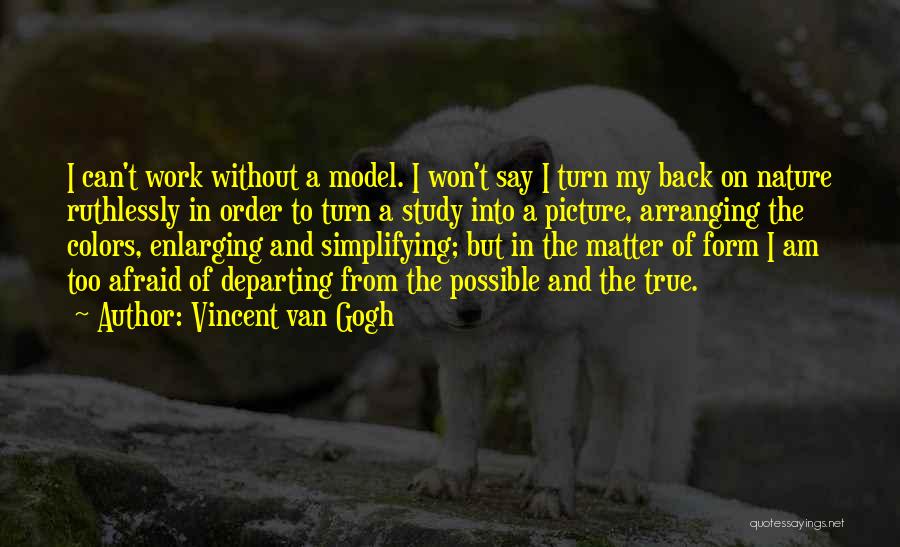 My True Colors Quotes By Vincent Van Gogh