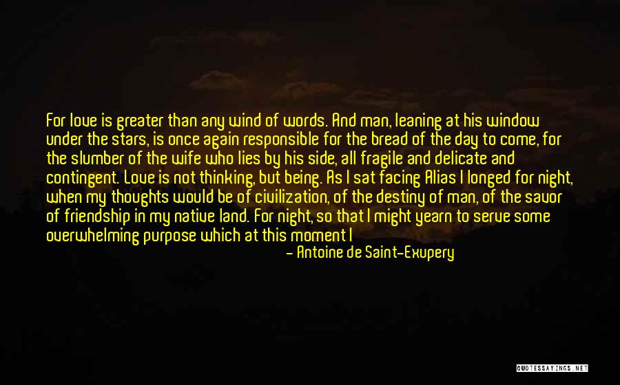 My True Friendship Quotes By Antoine De Saint-Exupery