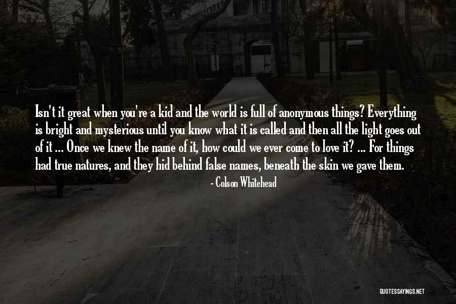 My True Love Gave To Me Quotes By Colson Whitehead My True Love Gave To Me Quotes By Colson Whitehead