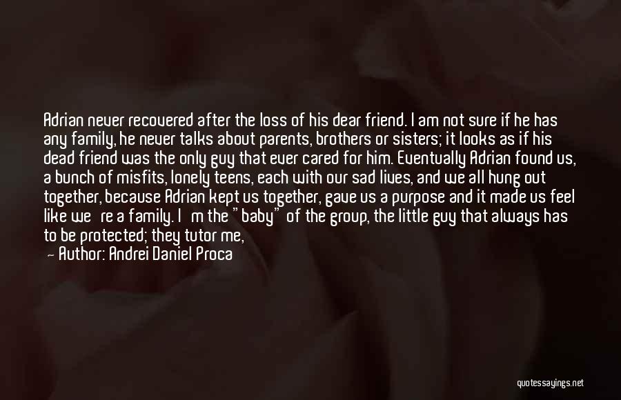 My Tutor Friend Quotes By Andrei Daniel Proca