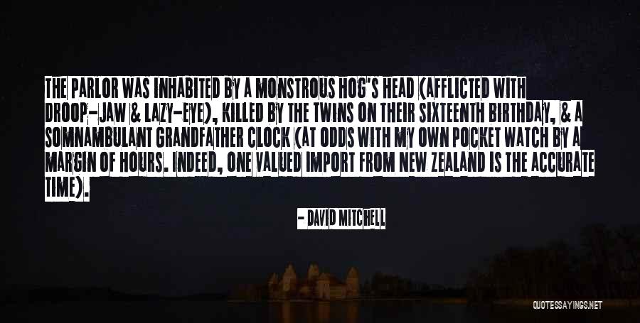 My Twins Birthday Quotes By David Mitchell
