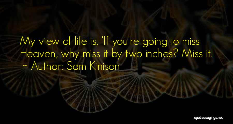 My View Of Life Quotes By Sam Kinison