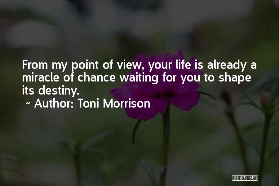 My View Of Life Quotes By Toni Morrison