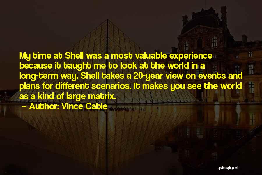 My View Of The World Quotes By Vince Cable