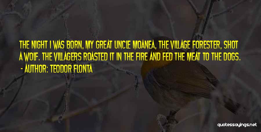 My Village Quotes By Teodor Flonta