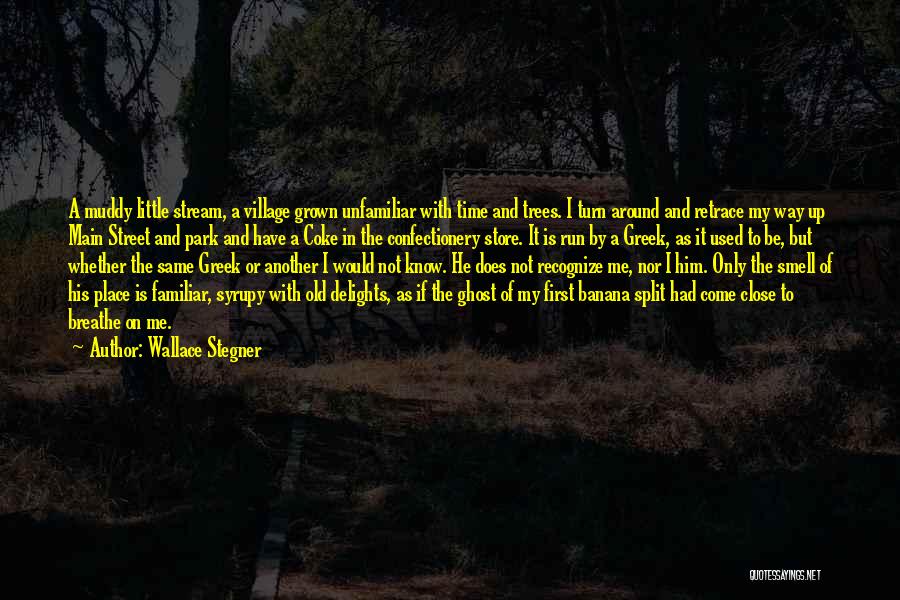 My Village Quotes By Wallace Stegner