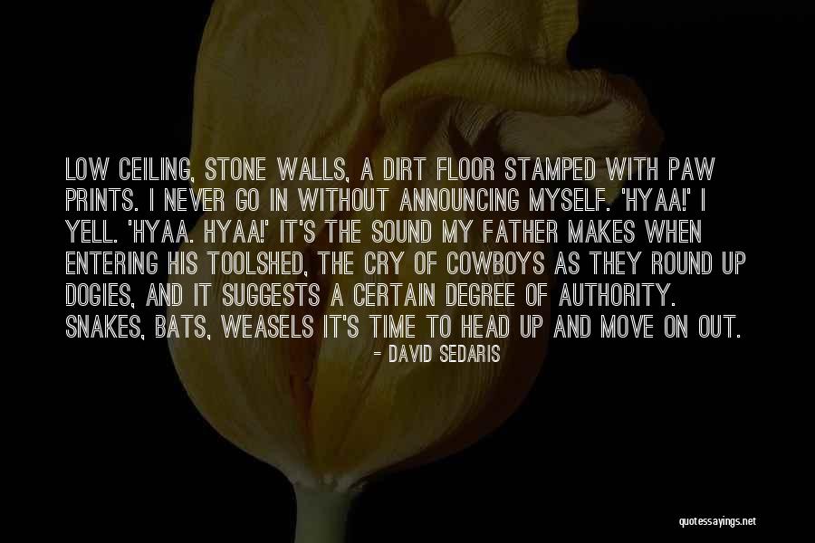 My Walls Go Up Quotes By David Sedaris My Walls Go Up Quotes By David Sedaris
