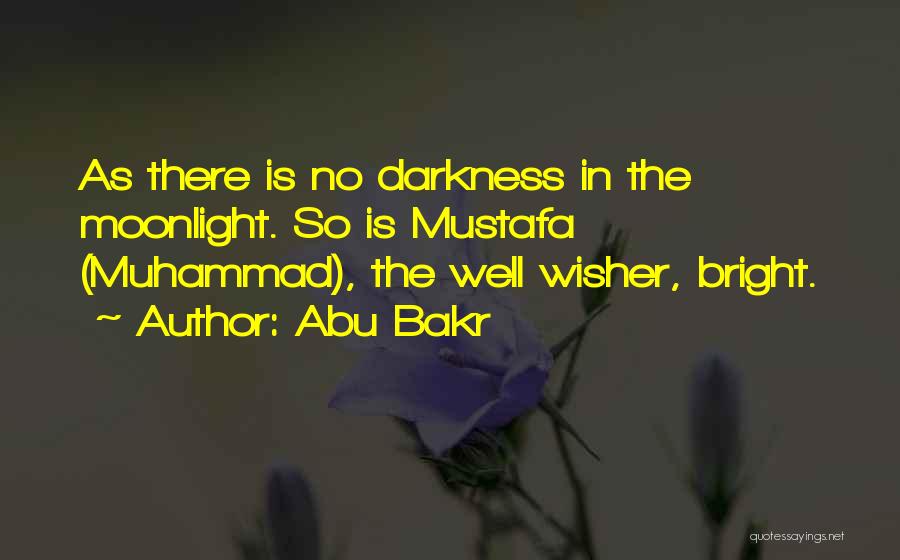 My Well Wisher Quotes By Abu Bakr