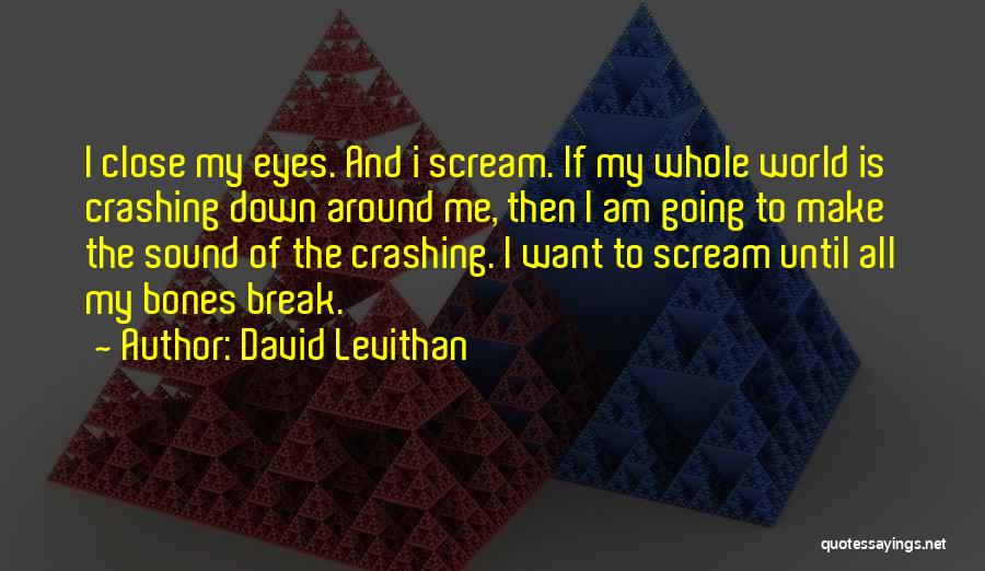 My Whole World Crashing Down Quotes By David Levithan