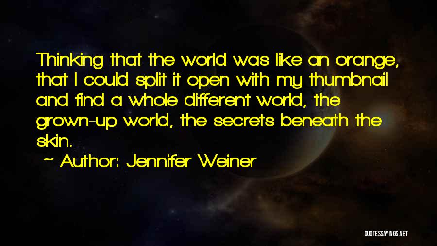 My Whole World Quotes By Jennifer Weiner