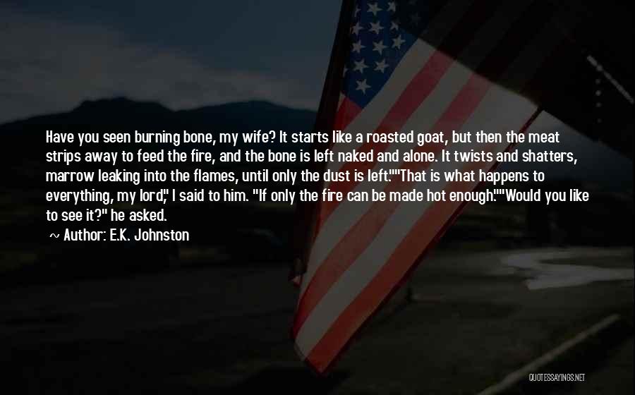 My Wife Is So Hot Quotes By E.K. Johnston