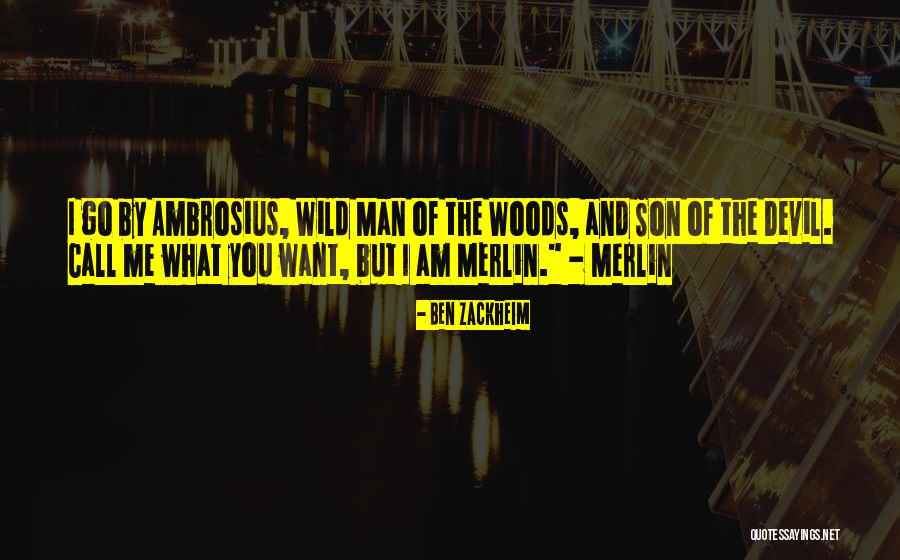My Wild Son Quotes By Ben Zackheim My Wild Son Quotes By Ben Zackheim
