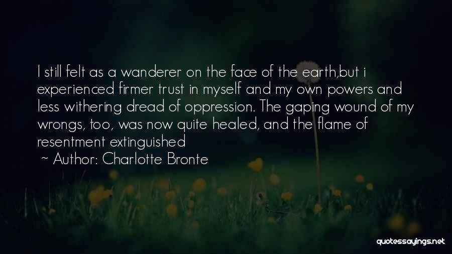 My Wrongs Quotes By Charlotte Bronte
