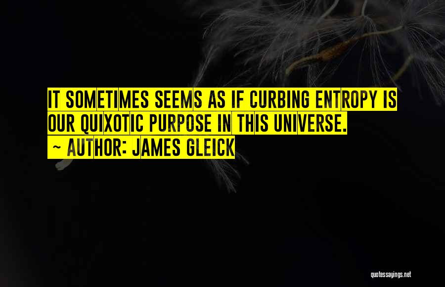 Mychajlowycz Quotes By James Gleick