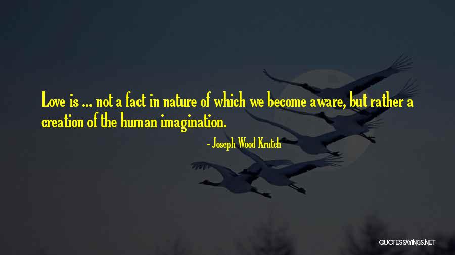 Mycology Supplies Quotes By Joseph Wood Krutch Mycology Supplies Quotes By Joseph Wood Krutch