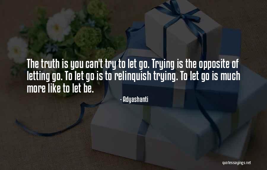 Myelitis Gravis Quotes By Adyashanti Myelitis Gravis Quotes By Adyashanti
