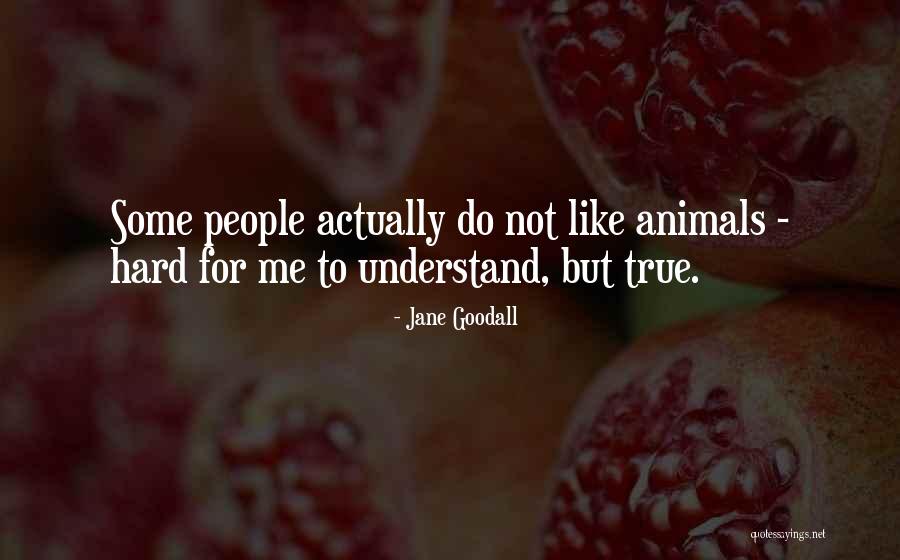 Myhill Stonehill Quotes By Jane Goodall Myhill Stonehill Quotes By Jane Goodall