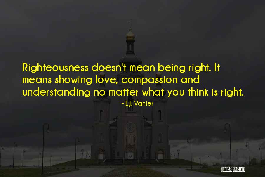 Mynier Quotes By L.J. Vanier Mynier Quotes By L.J. Vanier