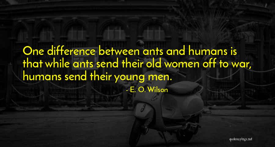 Myobu Quotes By E. O. Wilson Myobu Quotes By E. O. Wilson