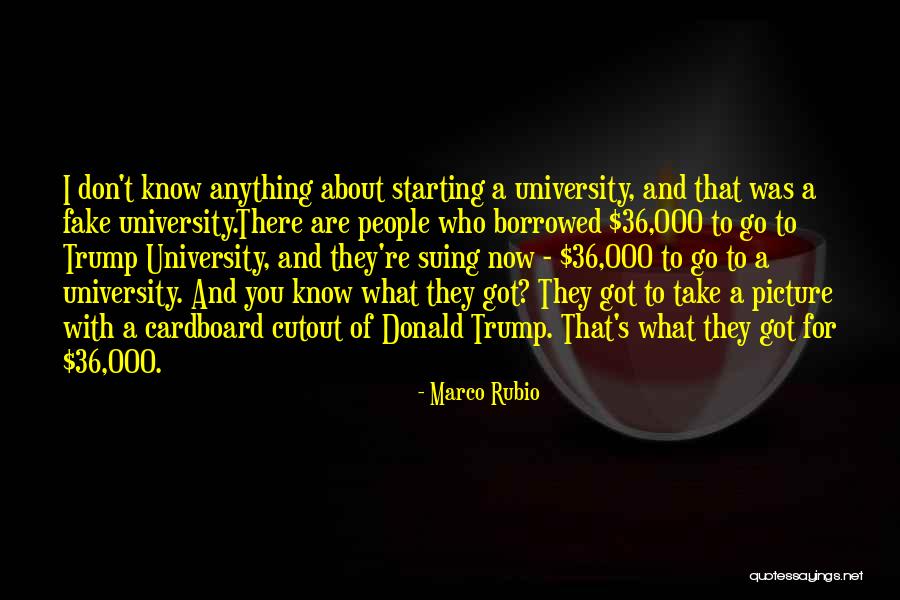 Myricks Taxidermy Quotes By Marco Rubio Myricks Taxidermy Quotes By Marco Rubio