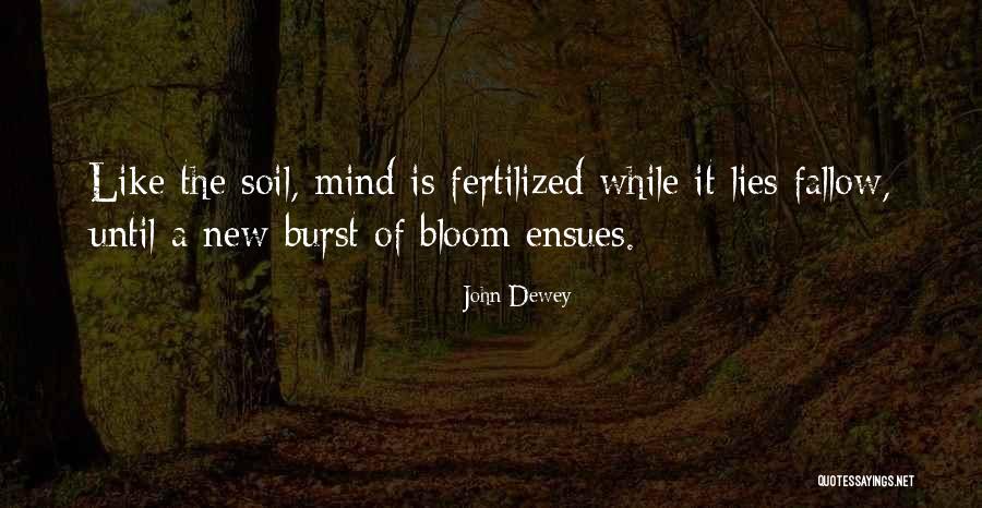 Myrina Jalbert Quotes By John Dewey Myrina Jalbert Quotes By John Dewey