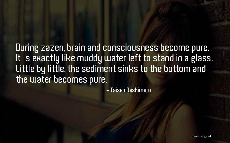Myringoplasty Quotes By Taisen Deshimaru Myringoplasty Quotes By Taisen Deshimaru