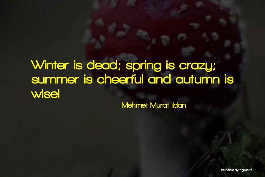 Myrnin Driving Quotes By Mehmet Murat Ildan Myrnin Driving Quotes By Mehmet Murat Ildan