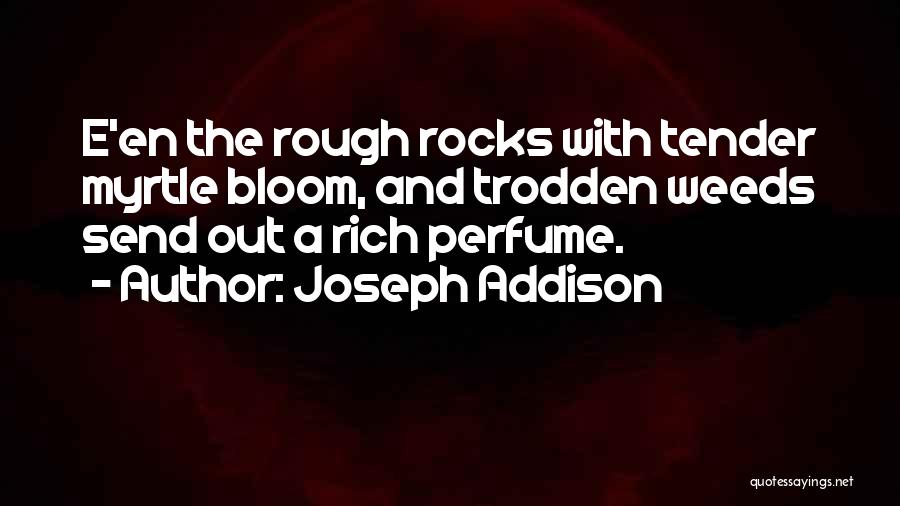 Myrtle Quotes By Joseph Addison