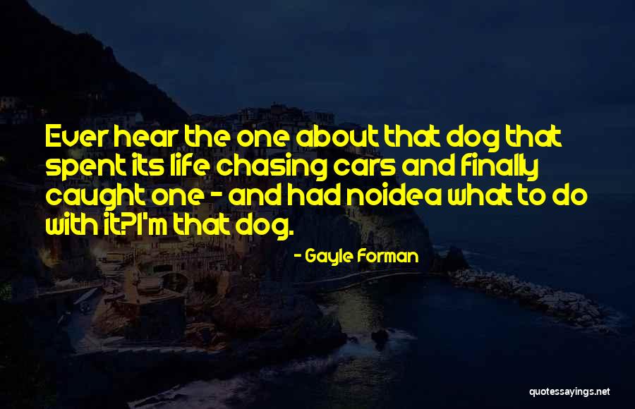 Myrtos Beach Quotes By Gayle Forman Myrtos Beach Quotes By Gayle Forman