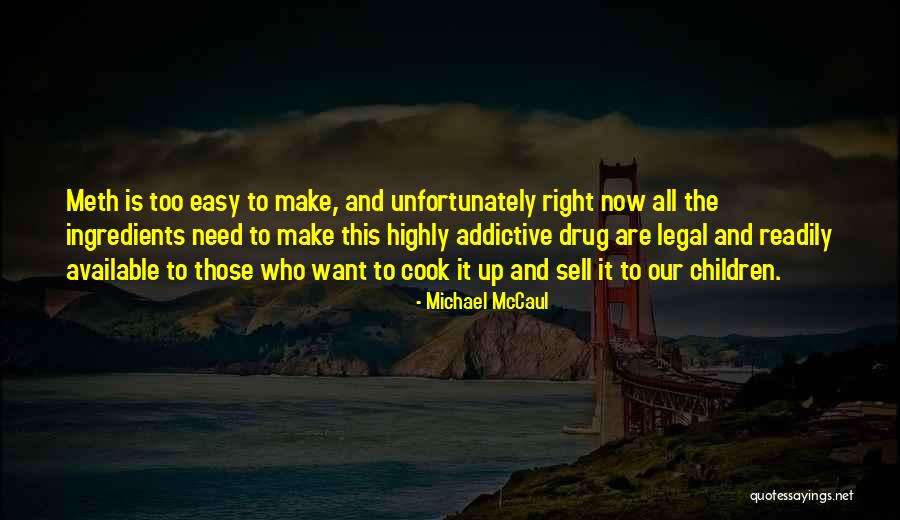 Mysliwiec Bookcase Quotes By Michael McCaul Mysliwiec Bookcase Quotes By Michael McCaul