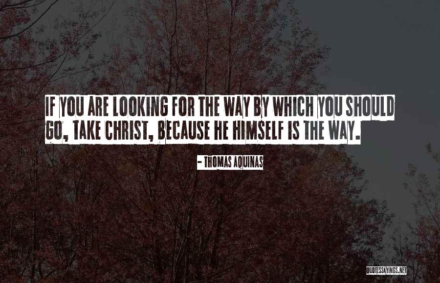 Mysophobia Causes Quotes By Thomas Aquinas Mysophobia Causes Quotes By Thomas Aquinas