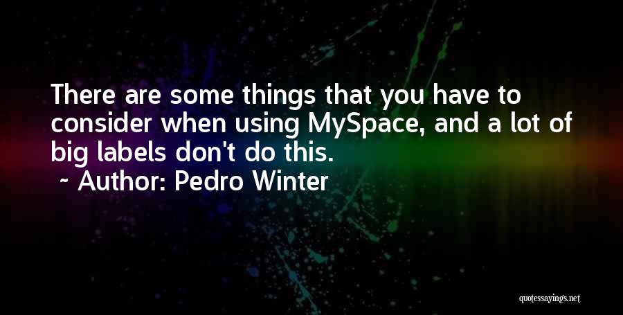 Myspace Quotes By Pedro Winter
