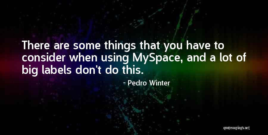 Myspace Quotes By Pedro Winter