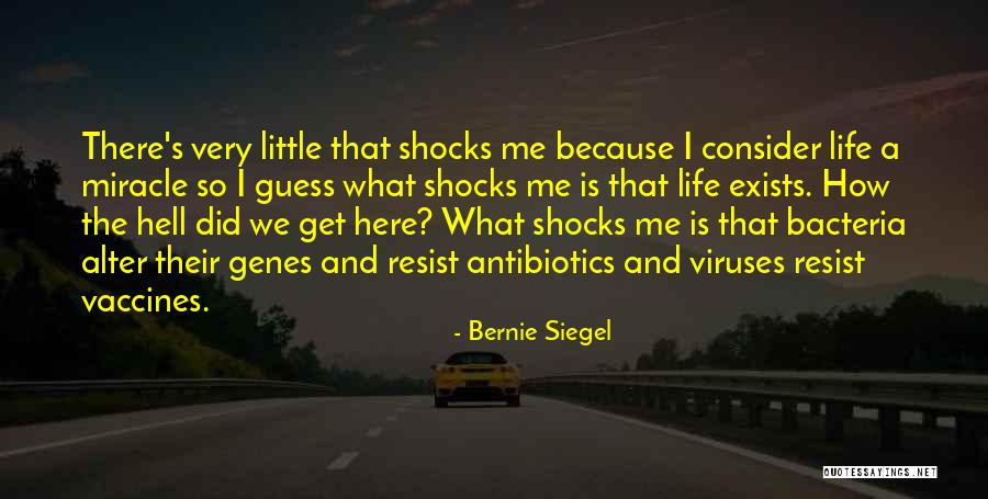 Mysql Replace Quotes By Bernie Siegel Mysql Replace Quotes By Bernie Siegel