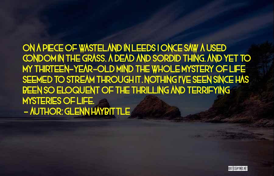 Mysteries Of Life Quotes By Glenn Haybittle