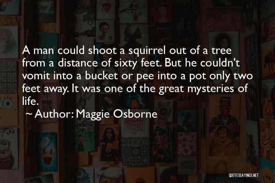 Mysteries Of Life Quotes By Maggie Osborne