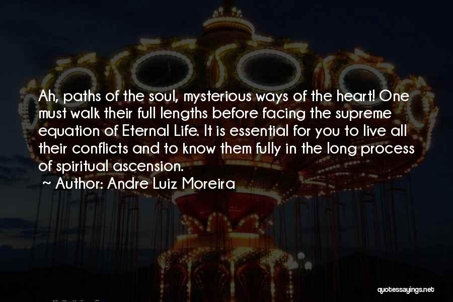 Mysterious Life Quotes By Andre Luiz Moreira