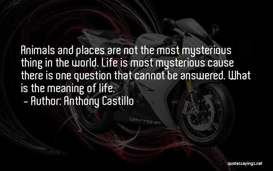 Mysterious Life Quotes By Anthony Castillo