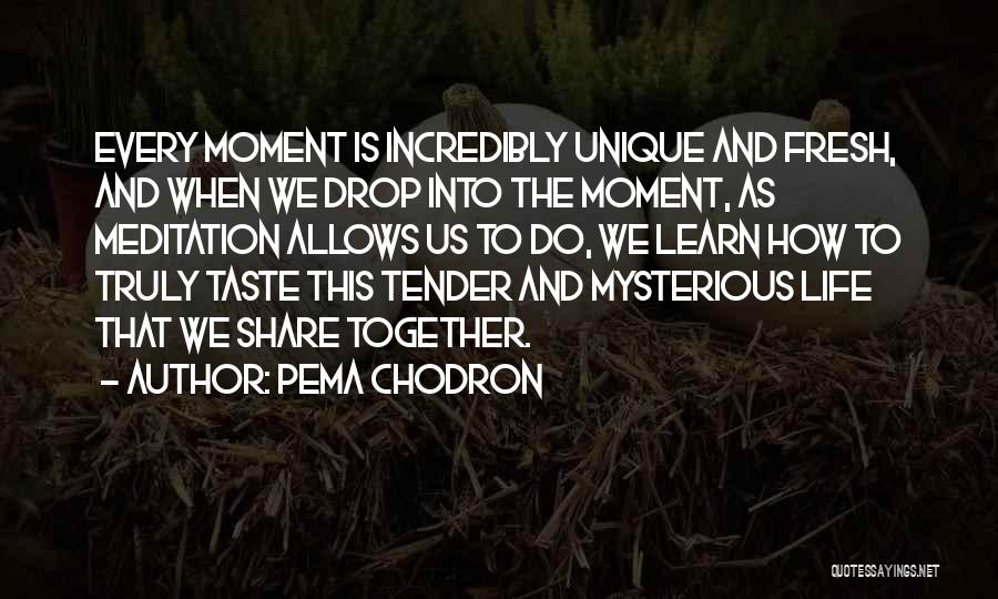 Mysterious Life Quotes By Pema Chodron