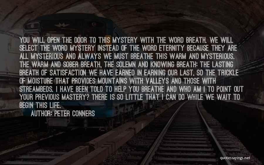 Mysterious Life Quotes By Peter Conners