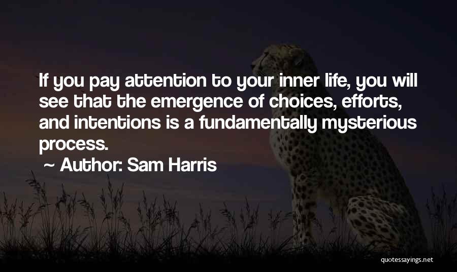 Mysterious Life Quotes By Sam Harris