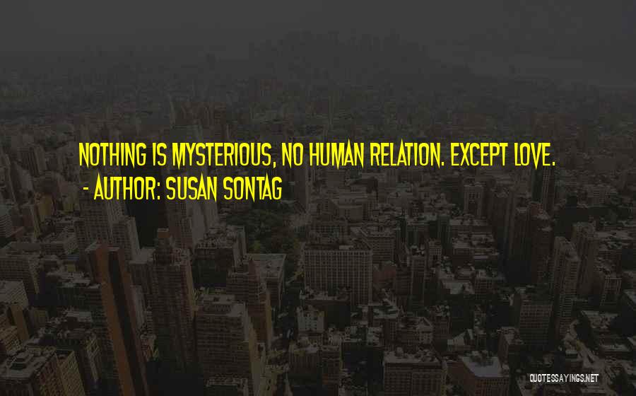Mysterious Love Quotes By Susan Sontag
