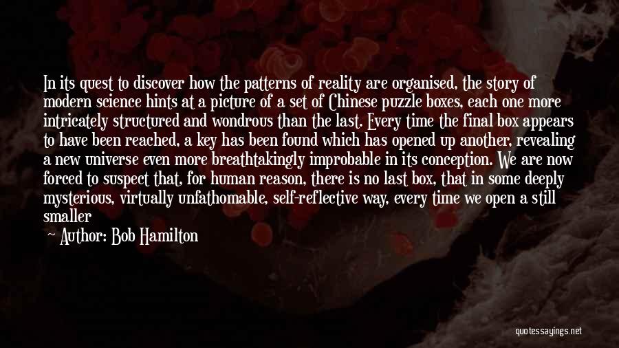 Mysterious Universe Quotes By Bob Hamilton