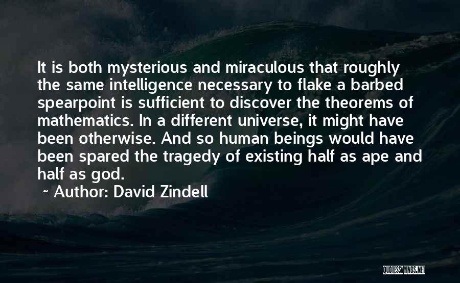 Mysterious Universe Quotes By David Zindell