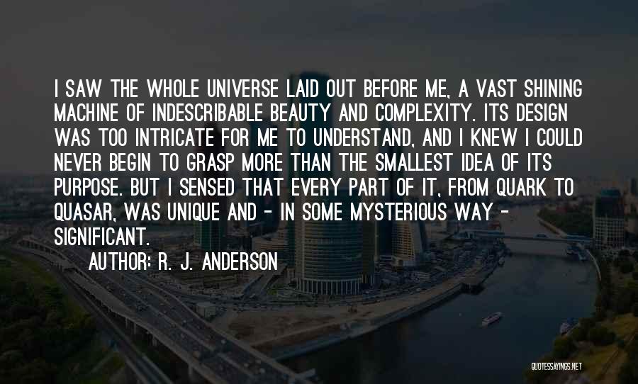 Mysterious Universe Quotes By R. J. Anderson